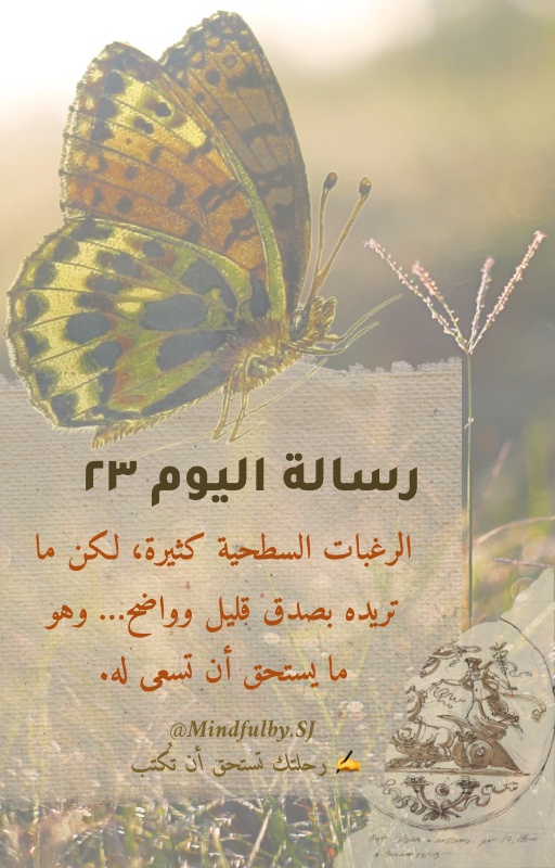 رحلة الـ ٢٨ يومًا مع التدوين🌱 – النسخة الكاملة