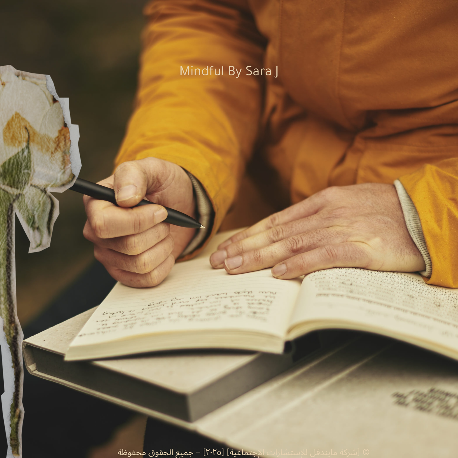 🌱 مجانيات / Freebies