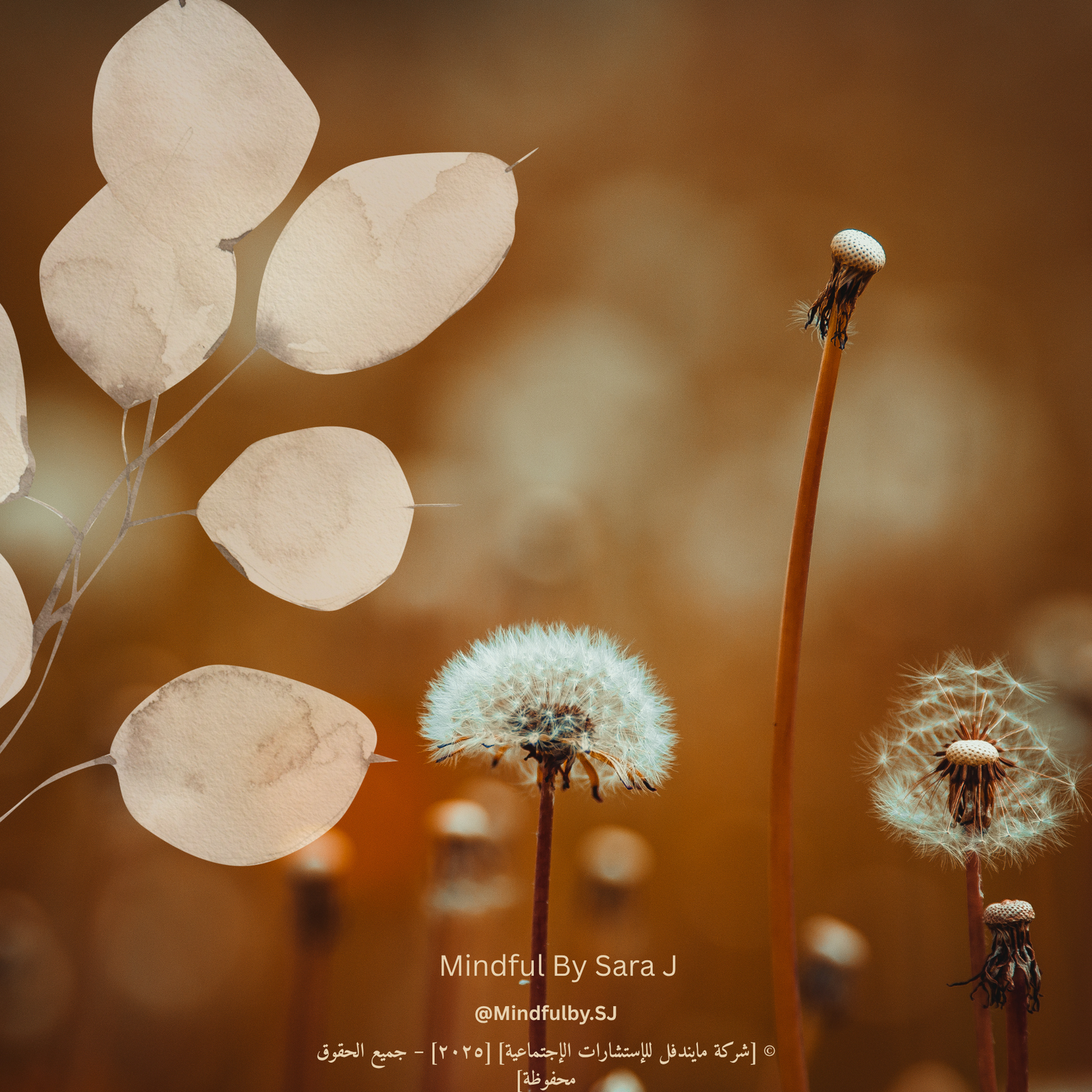 🌱الكتابة العلاجية | Therapeutic Writing