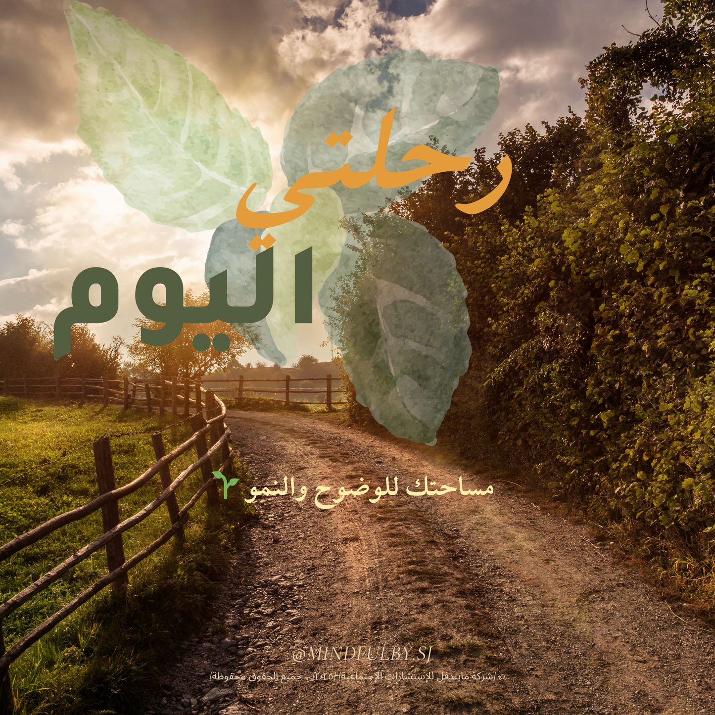 رحلتي اليوم 🌿